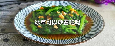 ​冰草怎么炒着吃 冰草炒着吃好吃吗