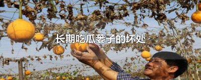 ​瓜蒌不适合什么人食用 瓜蒌能不能吃