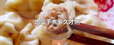 ​韭菜肉饺子煮多长时间最好 韭菜大肉饺子煮多长时间