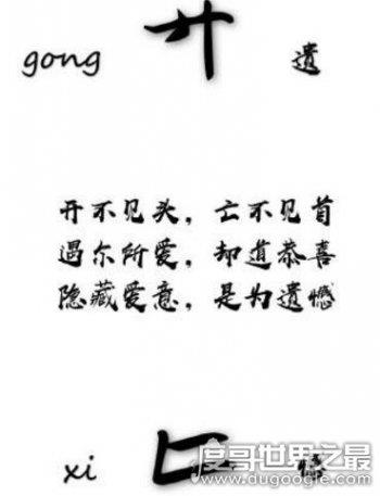 廾匸是什么意思 正确读音是廾gǒng