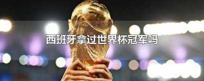 ​意大利拿过几次世界杯冠军 世界杯