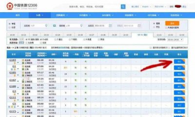 ​12306抢票技巧攻略，12306怎么抢票步骤