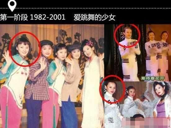 孙俪靠山胡慧中出事, 其丈夫在纽约被抓获。