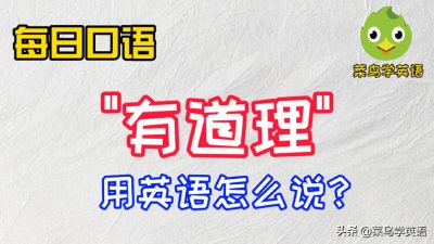 ​每日口语：“有道理”用英文怎么说？每日一句，助你说地道英语