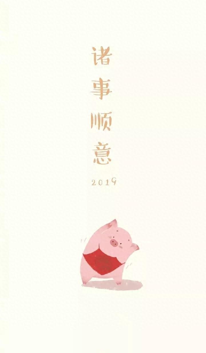 精选网红小猪手机高清壁纸