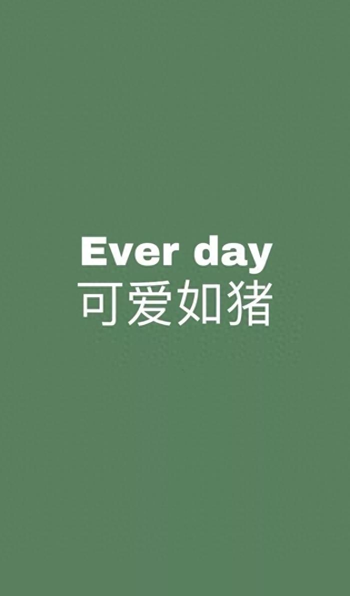 精选网红小猪手机高清壁纸