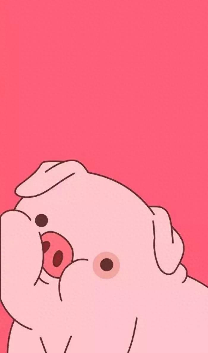精选网红小猪手机高清壁纸