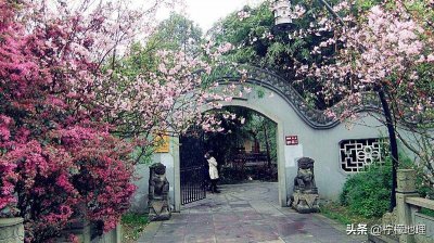 ​成都双流棠湖公园，实在太美令人惊艳，一处别具巴蜀风情的园林