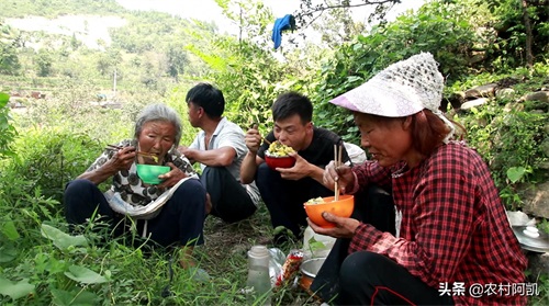 阿凯家简单的农家生活，多少人羡慕呢