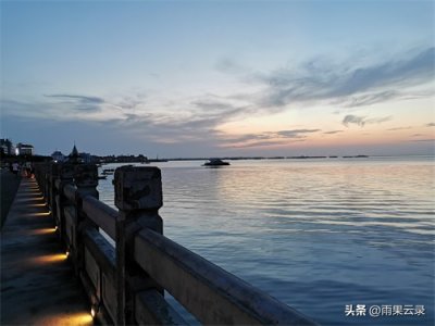 ​海外视角｜中国公知的生态与脉络