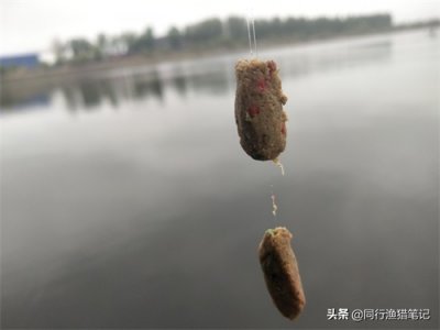 ​饵料怎么开得又软又粘？掌握这两招即可开出称心如意的软粘饵