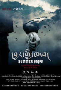 ​西藏90后电影创作者自制电影《夏天的雪》幕后花絮和演员简历...