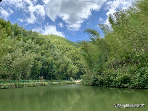 安徽省 黄山市 黟县 木坑竹海景区