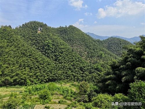 安徽省 黄山市 黟县 木坑竹海景区