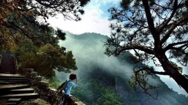 「行走榕树下」记忆中的鼓岭老建筑