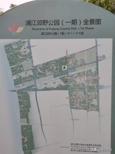 ​“诗和远方”的情感 浦江郊野公园活力森林区攻略