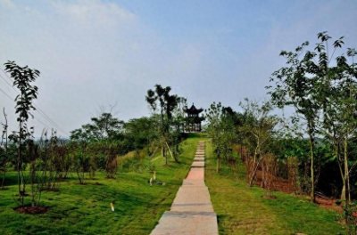 ​自贡自驾游小众景点攻略推荐