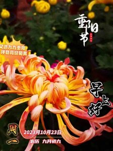 ​10月23日九月初九重阳节早上好，重阳节祝福问候语，重阳节图片