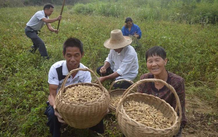 德安县属于哪个市(江西德安县属于哪个市)
