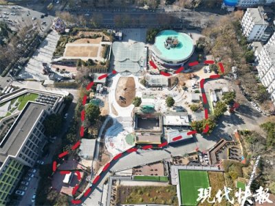 ​南京凯瑟琳广场蔷薇花园将打造集装箱夜市，后续补种蔷薇