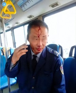 ​闹大了！爱狗人士带宠物狗乘公交遭拒暴打司机头部，后续他人麻了