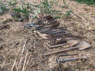 ​西域小国楼兰为什么盛产美女深度