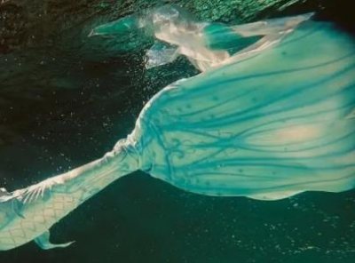 ​地球上有美人鱼吗？大概1.2万年前在附近海岸出现