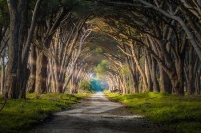 ​荔湾广场灵异事件 广州荔湾广场恐怖灵