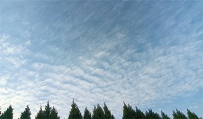 ​依规处理用戒尺打学生手心的老师时也要顺应民意，切不可一意孤行