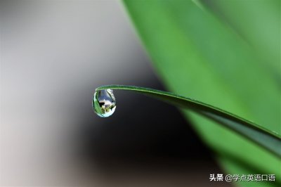 ​每日一词：anonymous