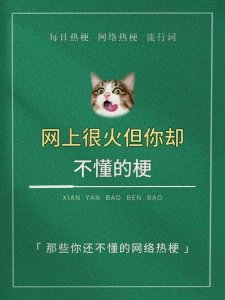 ​这些网上很火的梗，你知道几个？