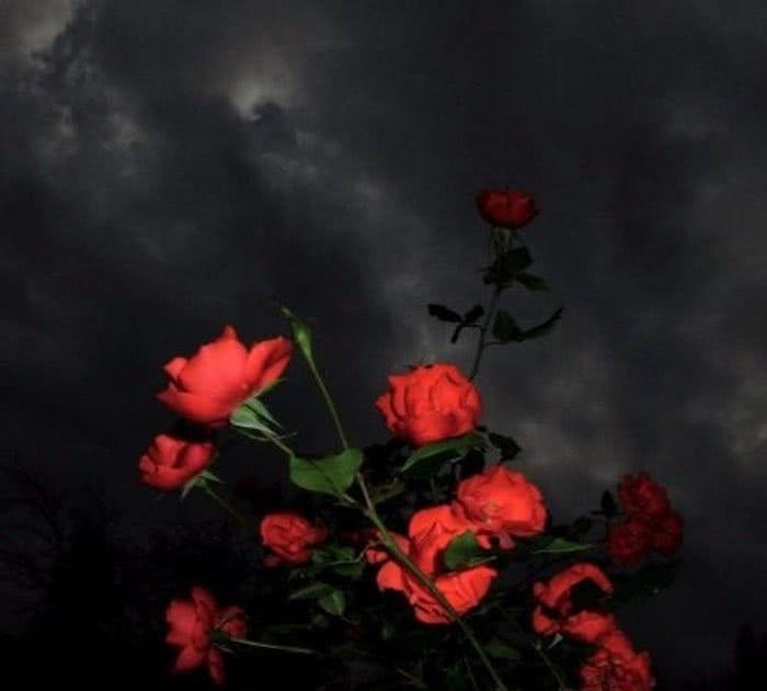 “祝你幸福”背景图：你是非常可爱的人，真应该遇到最好的人