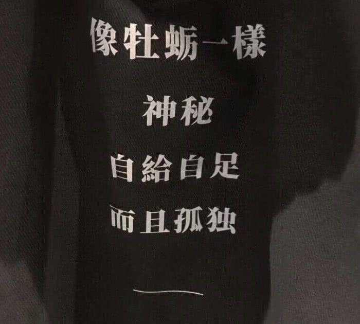 “祝你幸福”背景图：你是非常可爱的人，真应该遇到最好的人