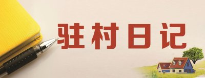 ​扶贫干部走访日志