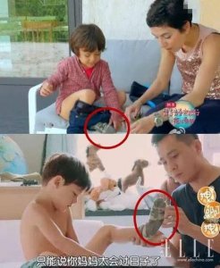 ​孙俪一双袜子穿20年，诺一他爸刘烨身板一紧 朴素风头被人抢了