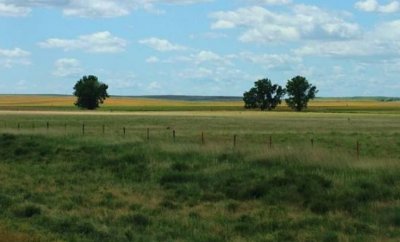 ​亚洲第一大的平原，面积够大，气候够冷，大部分地方还没有开发