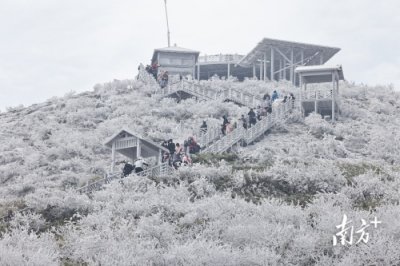 ​广东“下雪”啦！清远连州的雾凇景观好震撼
