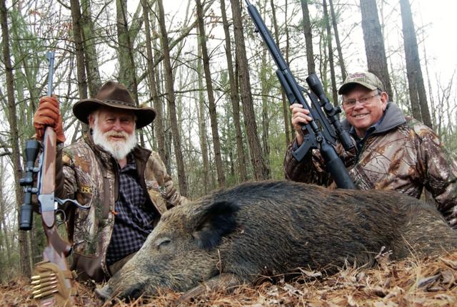 美国最大野猪王(野猪危害人间美国也是想破了脑袋解决)(2)_