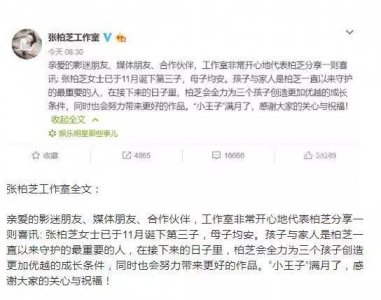 ​张柏芝喜获第三子，父亲是谁与陈坤孩子母亲是谁，成为了未解之谜