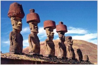 ​北极熊到南极洲能生存吗？绝不会为了吃什么而发愁