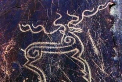 ​陕西夜狸猫 陕西夜狸猫事件真相