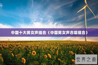 ​中国十大男女声组合（中国男女声合唱组合）