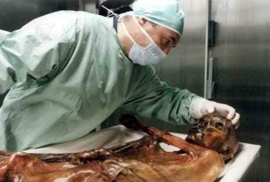 世界上最古老的古尸，冰人奥茨冰封5300年不腐