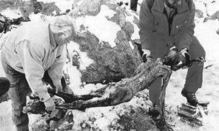 世界上最古老的古尸，冰人奥茨冰封5300年不腐