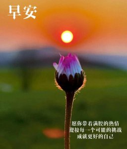 ​早安美图 ～ 新的一天，新的开始，愿你像初升的太阳充满活力。早安