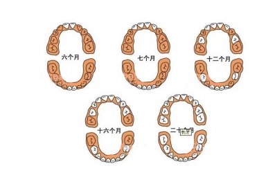 ​宝宝长牙知多少？