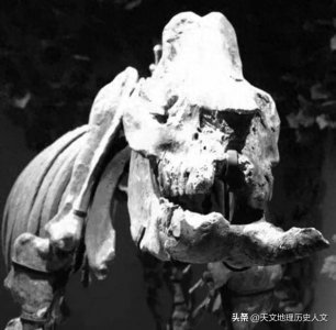 ​惊现7700万年前恐龙干尸：蒙大拿的重大发现