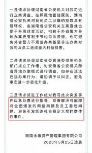 ​全国最大的湖南永雄“讨债”公司，五年申请上市，被查后叫板政府