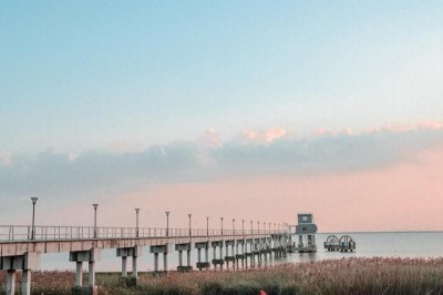 ​上海哪个地区的农家乐最好