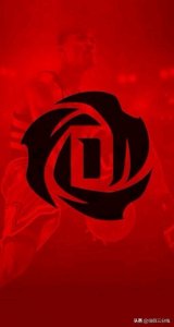 ​盘点各大球星的专属LOGO，罗斯最温柔，乔丹最成功，麦迪最飘逸